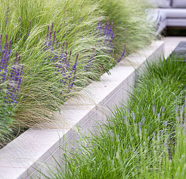 Paysage Concept 41