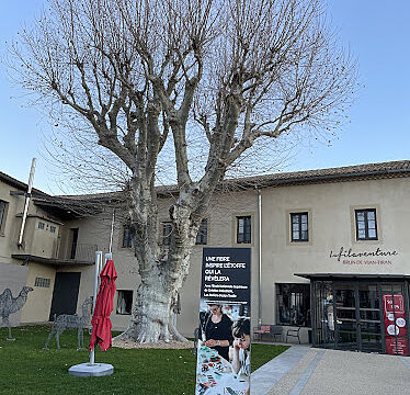 Sas Basin Parcs et Jardins