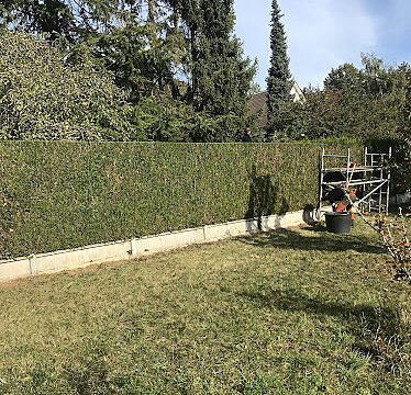 Ent Miraux Eure et loire elagage abattage taille haie elagueur pose de clôture
