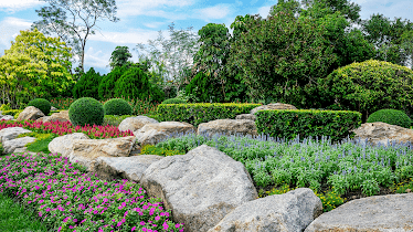 Couleurs Jardins-Paysagiste