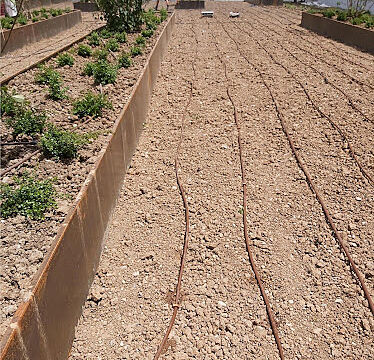 Luna Paysage à Nice