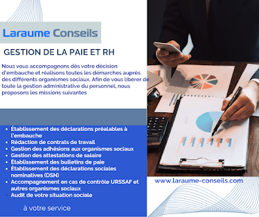 LARAUME CONSEILS
