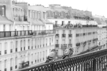 Marcia Mouquinho Avocate