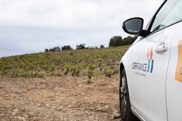 Expert-Comptable | Cerfrance Midi Méditerranée – Bram